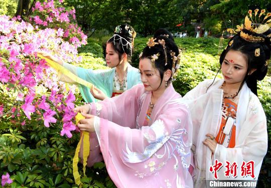 福建汉服少女将写有对春日祝福的彩带系在百花枝头。 记者刘可耕 摄 福建汉服少女将写有对春日祝福的彩带系在百花枝头。 记者刘可耕 摄